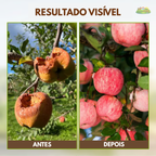 Ativador de Solo Yegbong™ - Promoção de Lançamento 🔥Estoque Limitado🔥