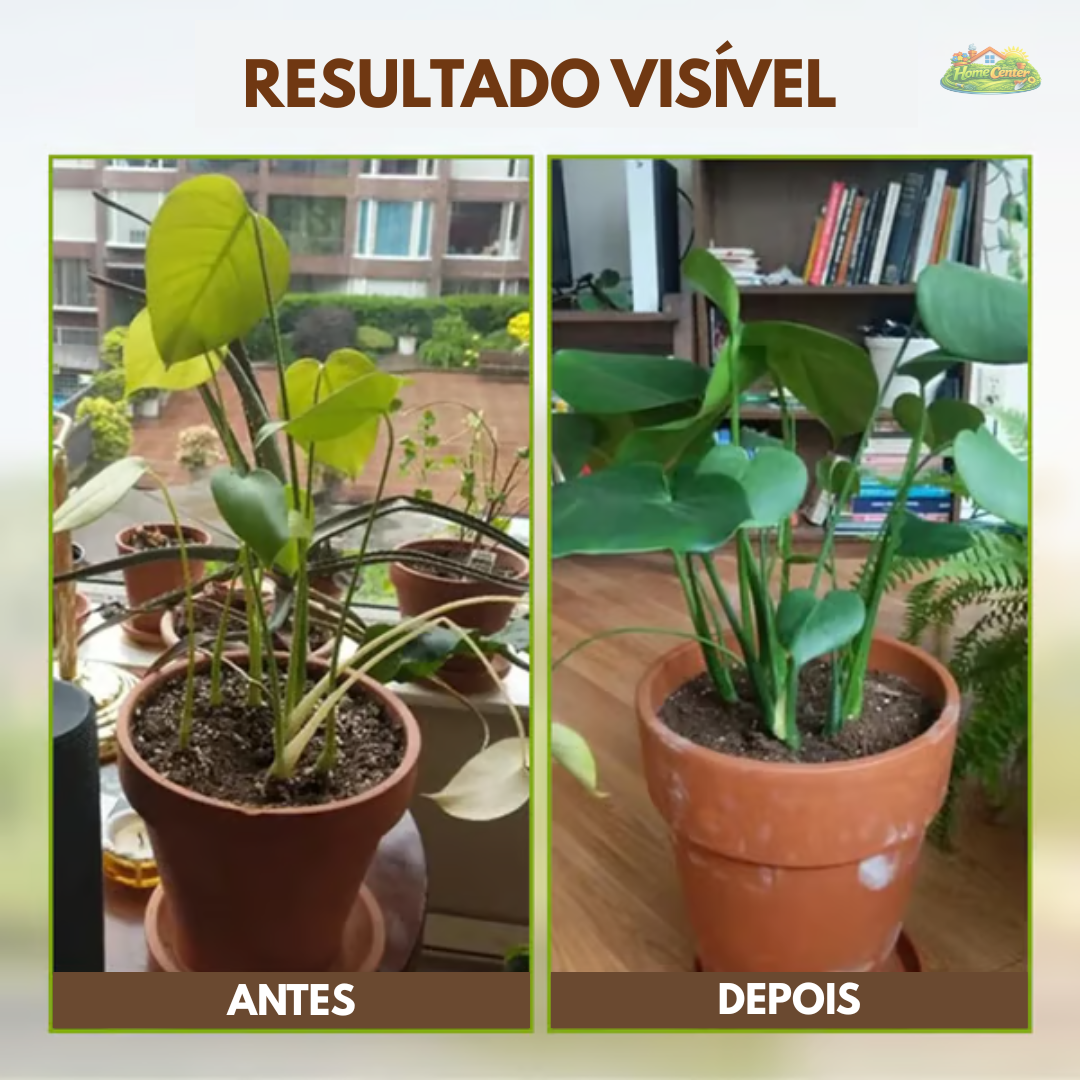 Ativador de Solo Yegbong™ - Promoção de Lançamento