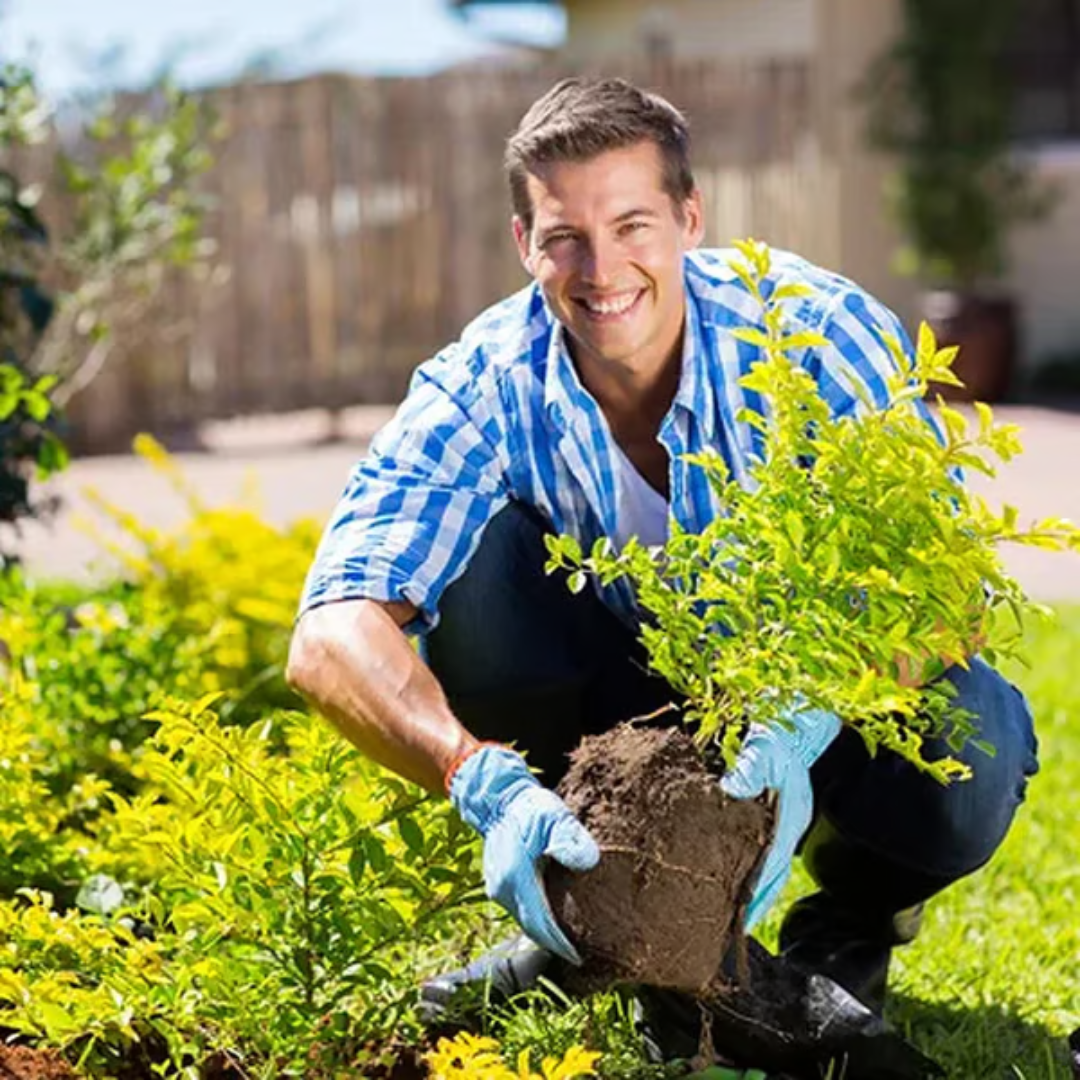 Ativador de Solo Yegbong™ - Promoção de Lançamento